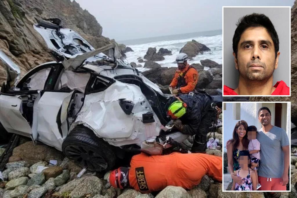 Doctor Dharmesh Patel, who drove Tesla off cliff with family inside, experienced 'psychotic' break, says psychologist