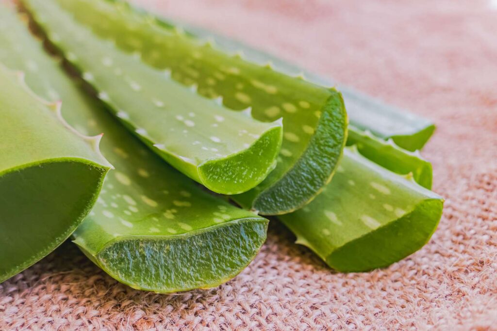 Is Aloe Vera good for your face?  Here's what the experts have to say