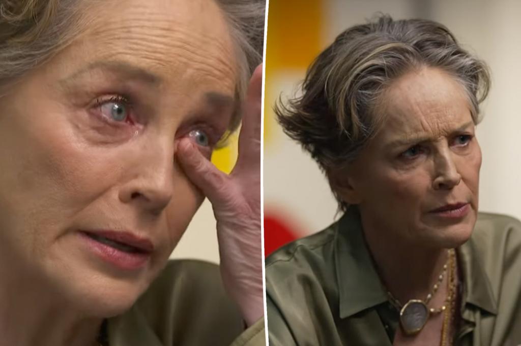 Sharon Stone admits she tried to face her 'demons over mental health struggles in emotional interview'