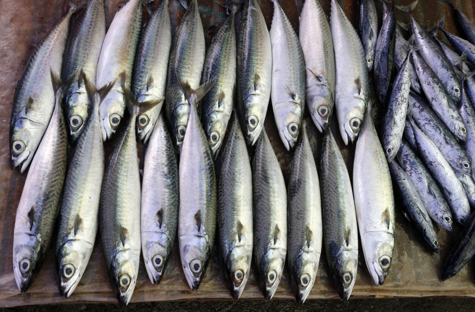 Oily fish have high levels of omega-3 fatty acids, which contribute to a healthy diet, and are also ecologically sustainable sources of meat.  (Getty Images)